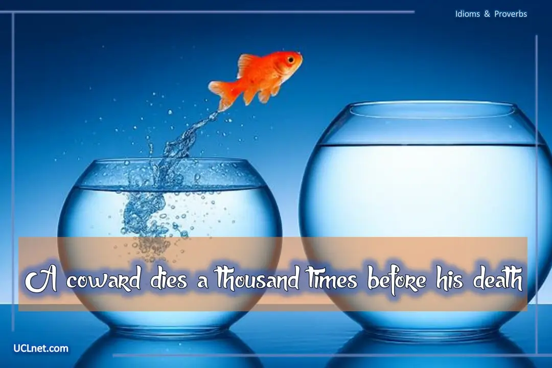 Cowards die many times before their death - ترس برادر مرگ است!