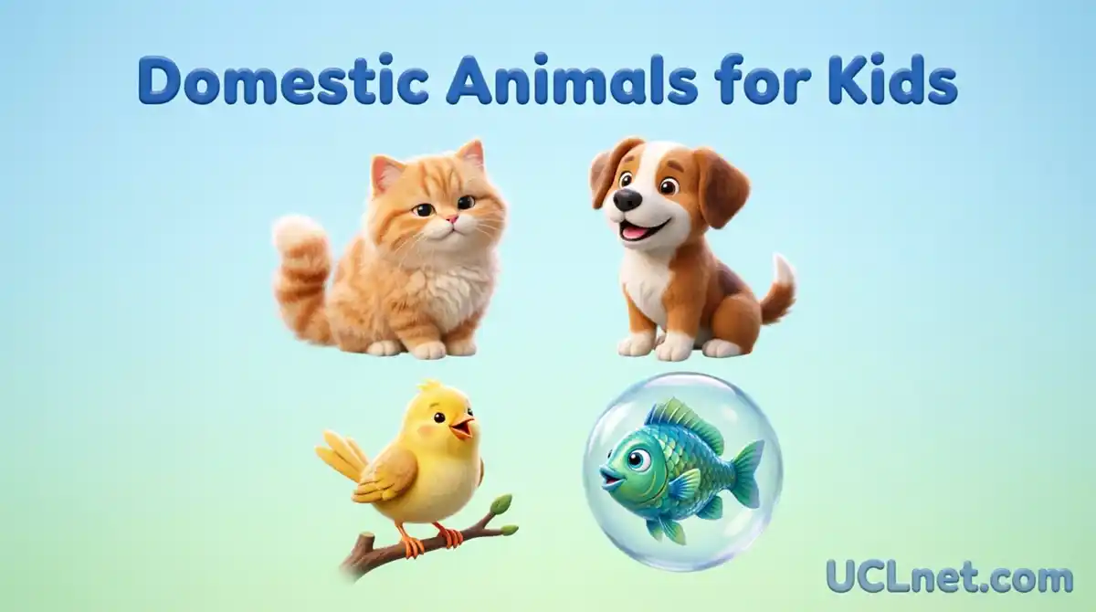 Cute 3D domestic animals for kids educational infographic guide - UCLnet.com