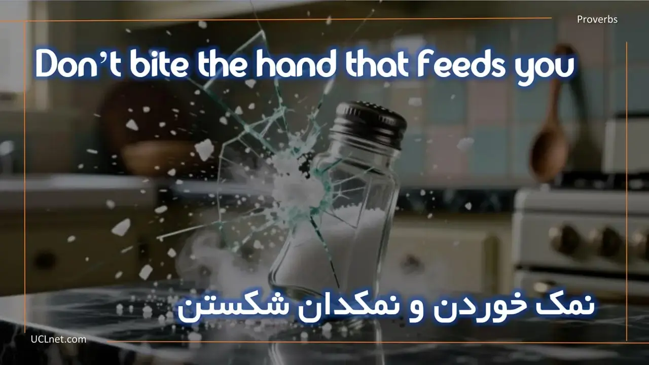 Don’t bite the hand that feeds you - نمک خوردن و نمکدان شکستن