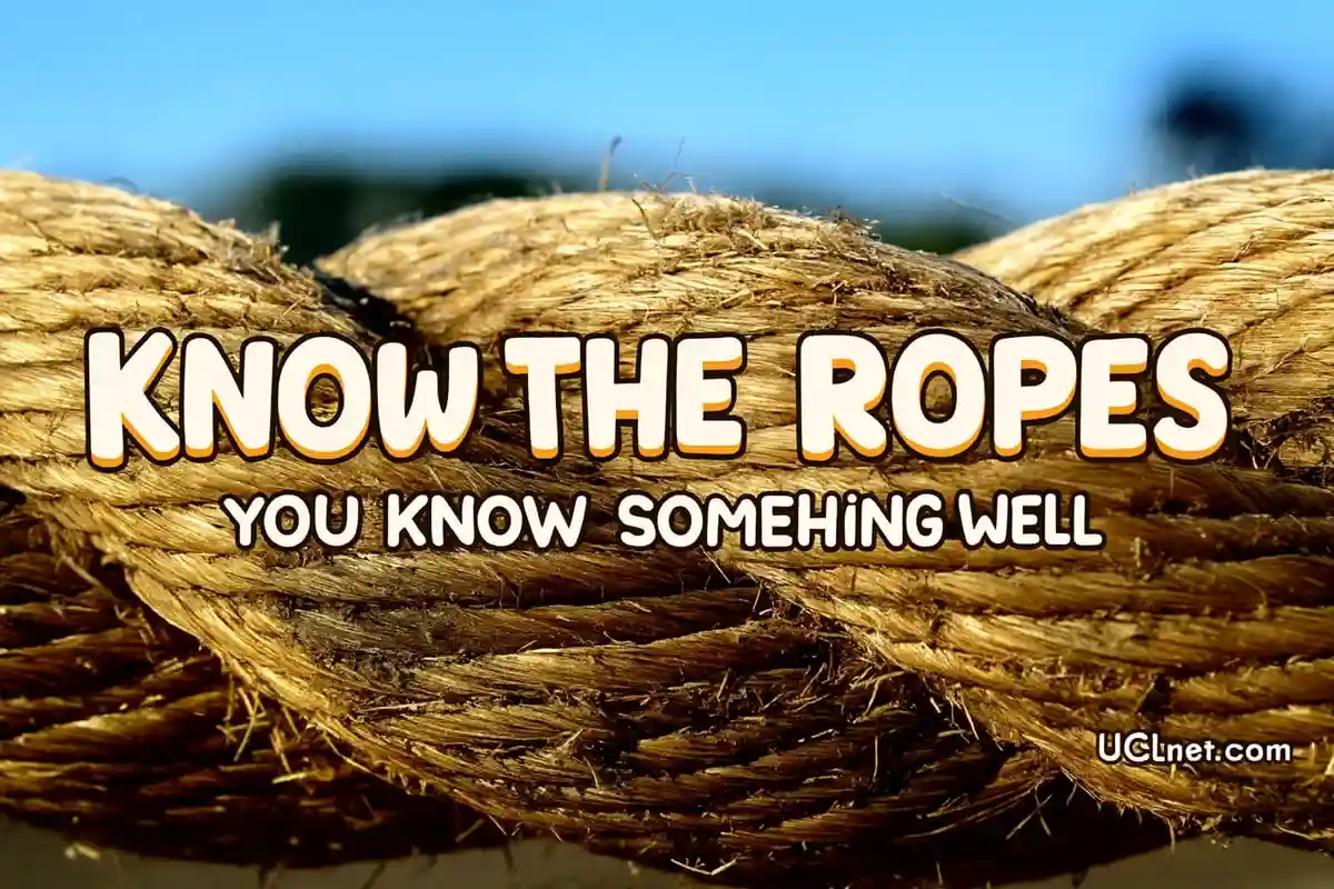 A sailor who knows the ropes on a big ship - UCLnet.com