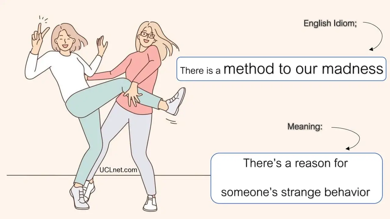 Method to My Madness English Idiom meaning