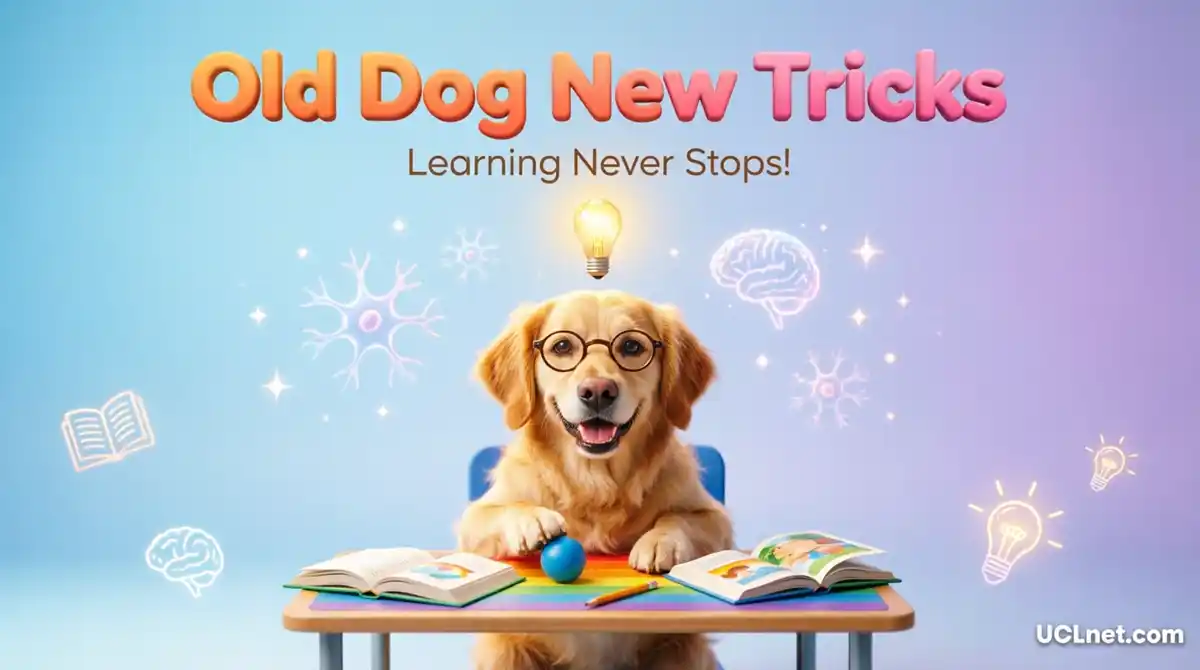 old-dog-new-tricks-learning-english-idiom-infographic-uclnet Old dog new tricks educational infographic showing a happy dog learning new skills with brain connections and books, teaching kids that learning never stops at any age
